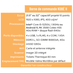 Borne KOBE II 21,5 Pouces